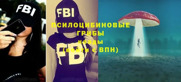 круглые Аркадак