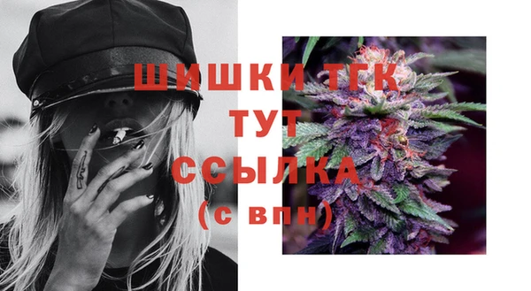 винт Арсеньев