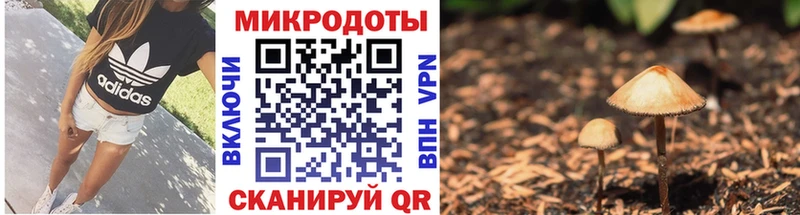 где купить наркотик  Павловский Посад  omg как войти  Галлюциногенные грибы ЛСД 